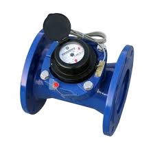 [19-002165] Lorentz Water Meter, WP-DN50, 0.1cbm/p