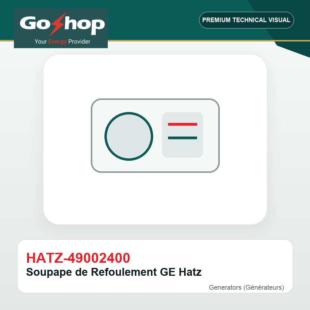 Soupape de Refoulement GE Hatz