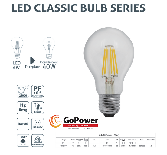 GoPower Led Filament A60 E27 6W 6500K (white/blanche)