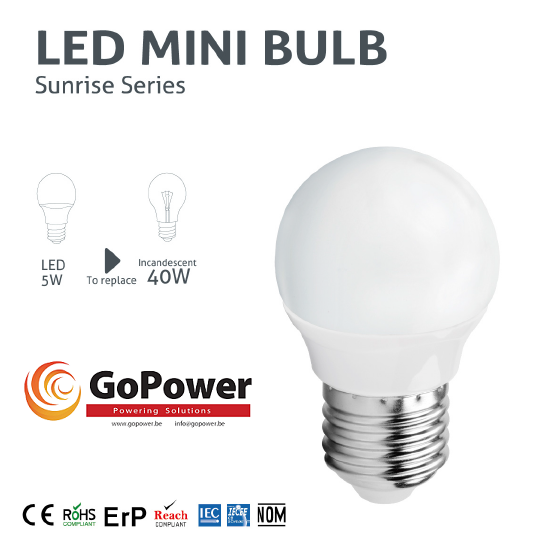 GoPower Led Standard G45 3W 3000K E27 Clear(warm white/jaune)