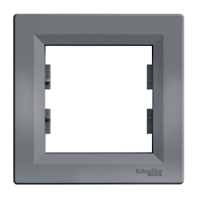 Schneider Plaque 1 poste Acier
