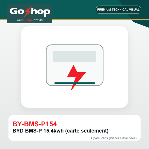 [BY-BMS-P154] BYD BMS-P 15.4kwh (carte seulement)
