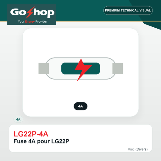 [LG22P-4A] Fuse 4A pour LG22P