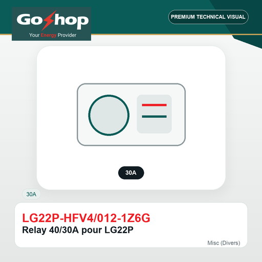 [LG22P-HFV4/012-1Z6G] Relay 40/30A pour LG22P