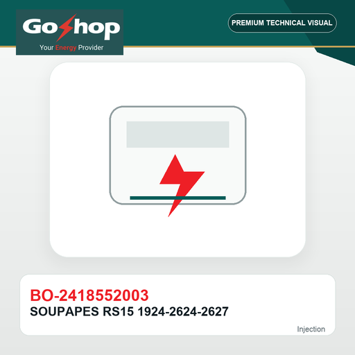 [BO-2418552003] SOUPAPES RS15 1924-2624-2627